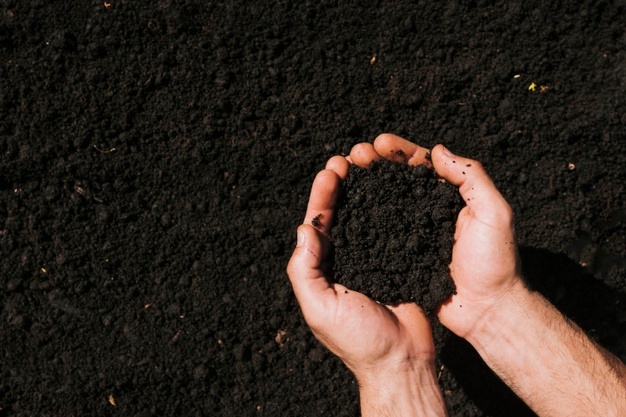 Rodzaje gleb – kompletny przewodnik