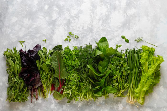 Jak zrobić całoroczny ogródek ziołowy dla Twojej kuchni?